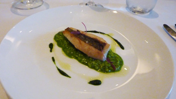 John Dory with Herb Risotto and Lime