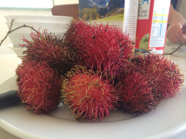 Rambutans!  One of my favourite SE Asian fruits