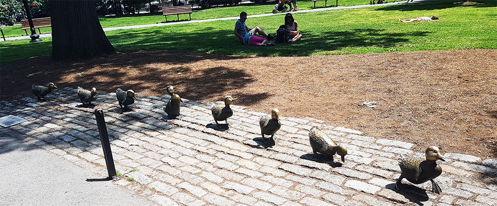 walkingducklings